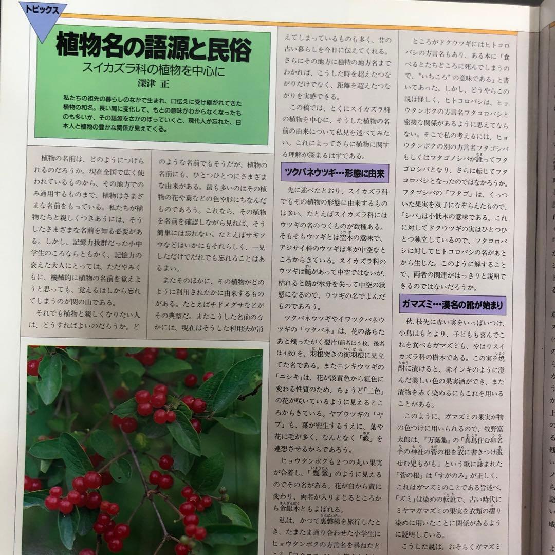 【中古本】植物の世界 全15巻セット