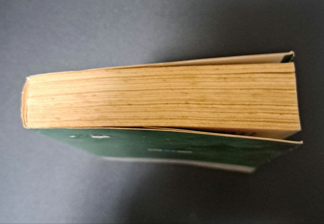 神の目の小さな塵　下