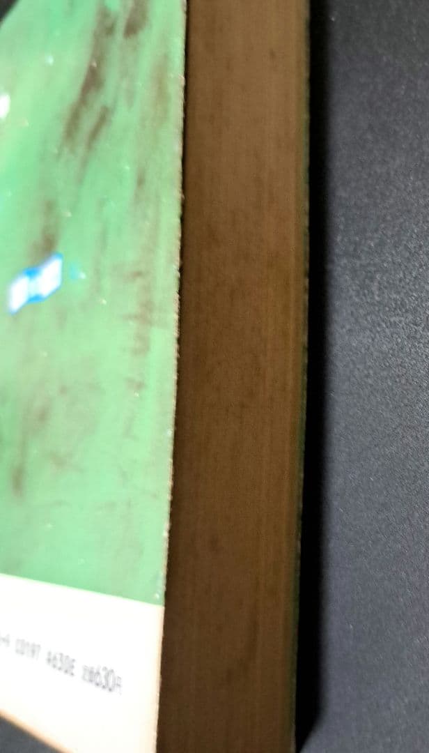 神の目の小さな塵　下