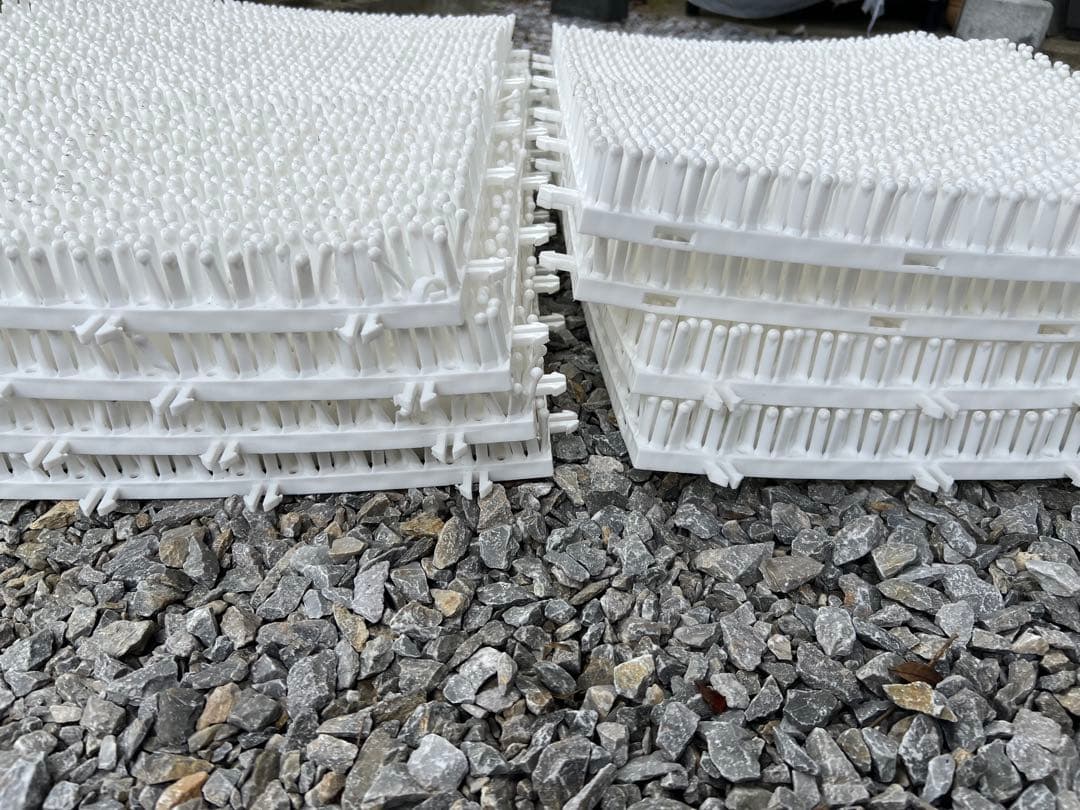 シバカツ　24枚