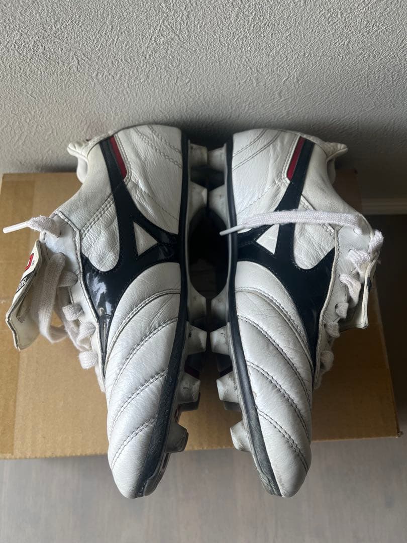 モレリア　希少タンあり　23.0