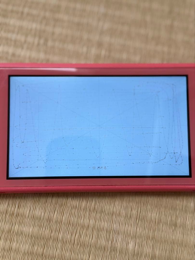 Nintendo Switch Lite コーラル 本体 ケース 充電器付き