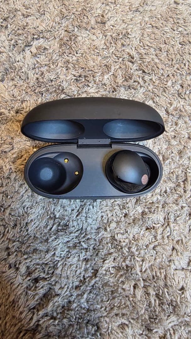 SONY「WF-1000XM5」（黒） 右耳・充電ケース