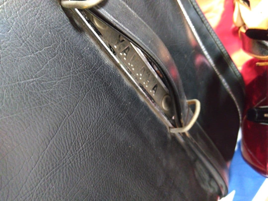 （美品即演奏可）YAMAHA アコーディオン YA-21 【信頼の日本製】