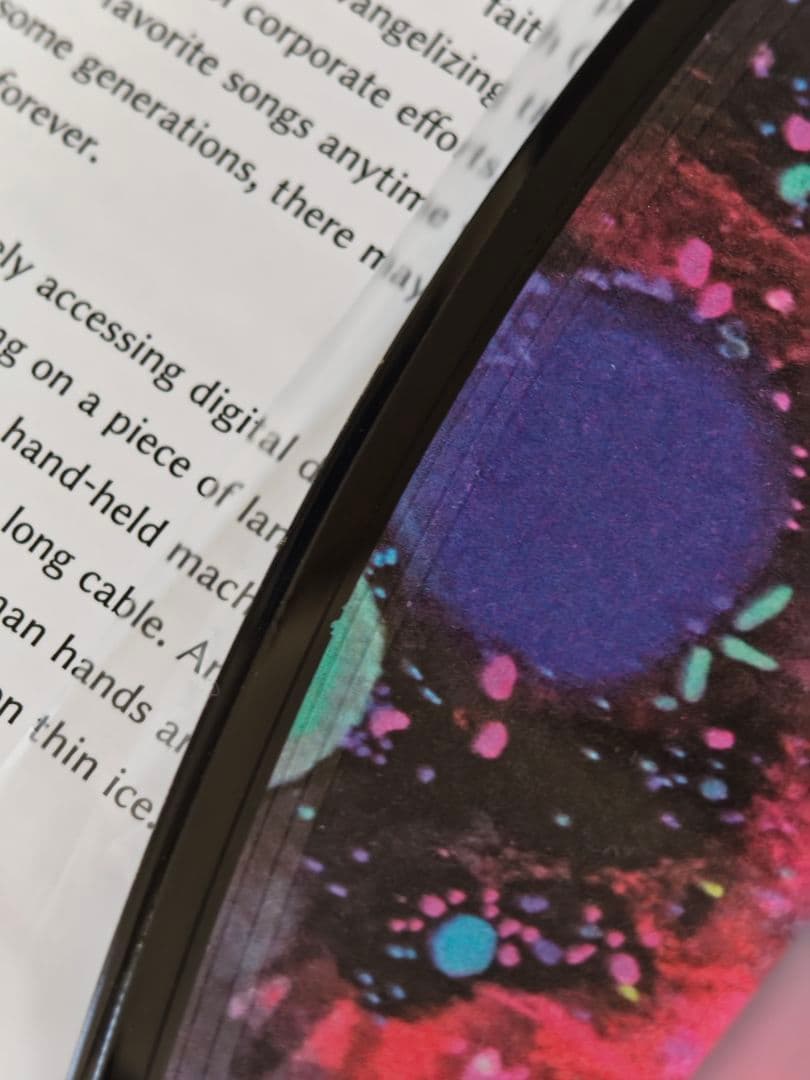 Kikuoland きくお レコード