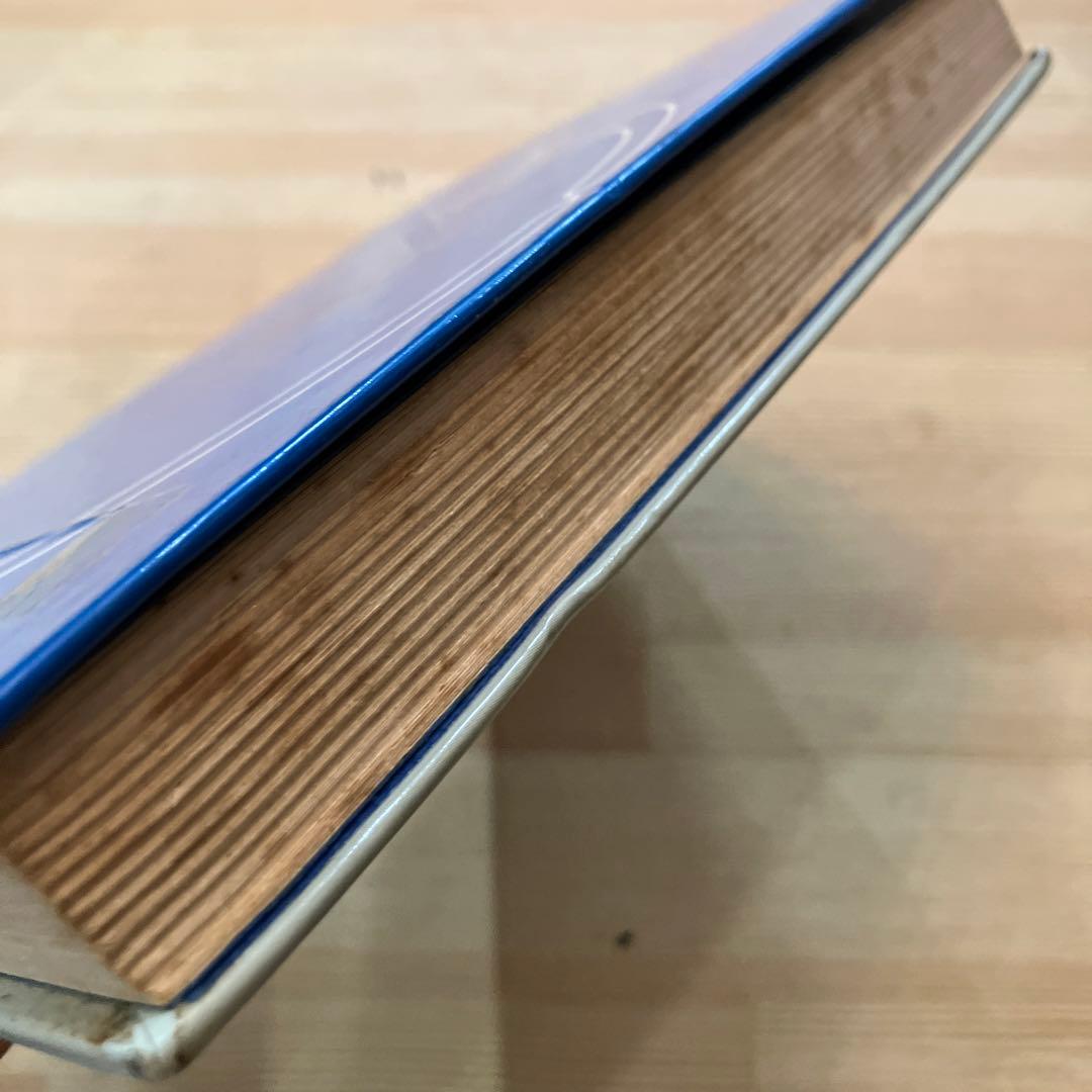 盗まれた東京 矢野