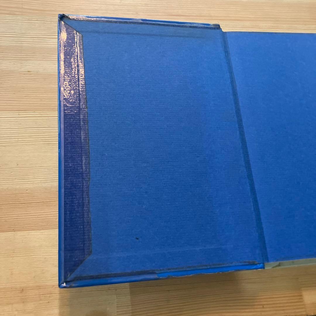 盗まれた東京 矢野