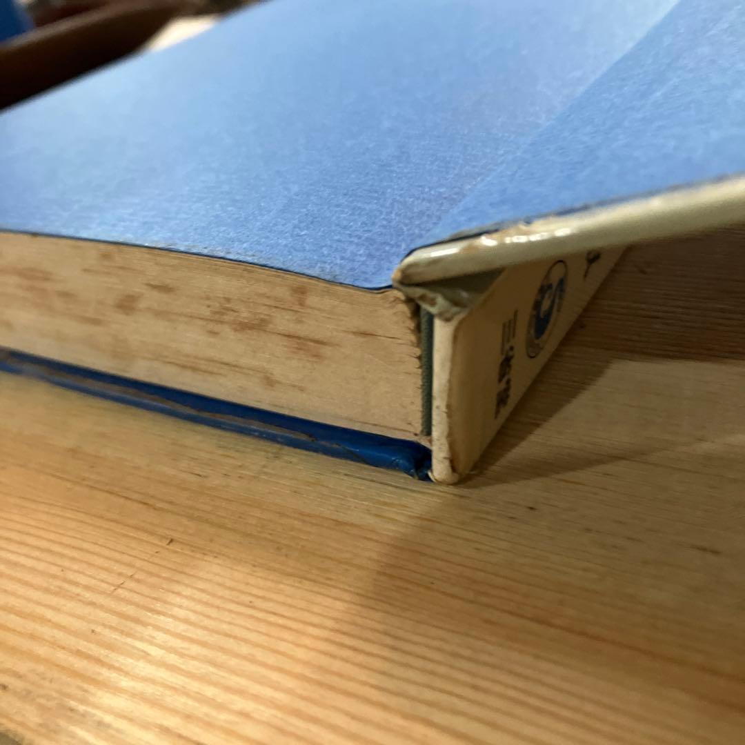 盗まれた東京 矢野