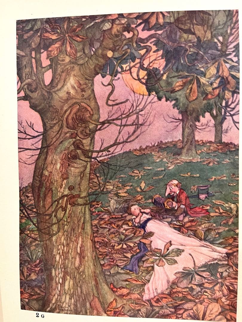 No.165 希少 アンティーク洋書 古書　ヒース ロビンソン