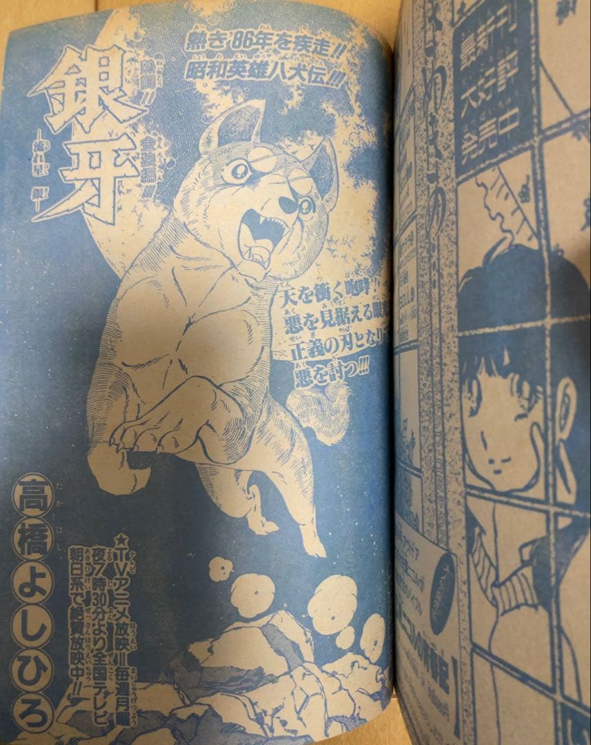 週刊少年ジャンプ　1986年25号　表紙&巻頭カラー　ドラゴンボール/ 鳥山明