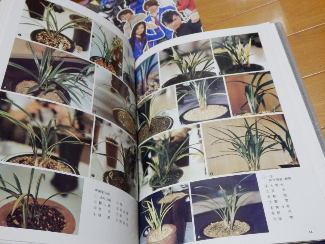 ❤️大量❤️写真集★パンフ★画集★アニメ★邦画★洋画★野田秀樹