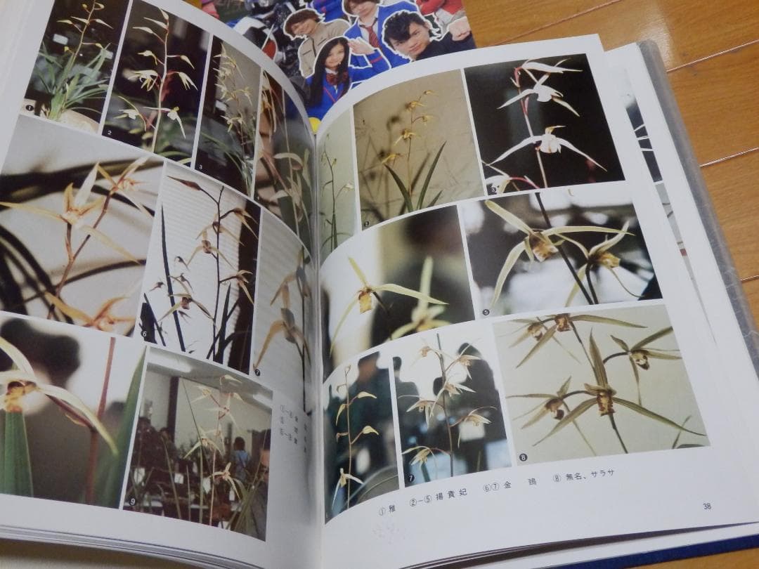 ❤️大量❤️写真集★パンフ★画集★アニメ★邦画★洋画★野田秀樹