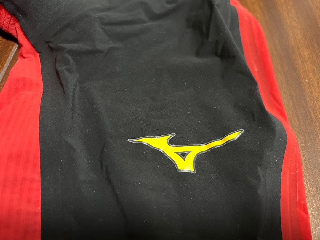 Mizuno ISS イトマン選手用水着 GX