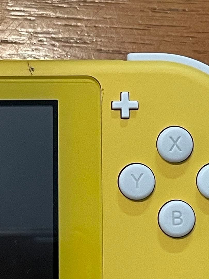 【動作確認済】Nintendo Switch Lite 【付属品充実！】