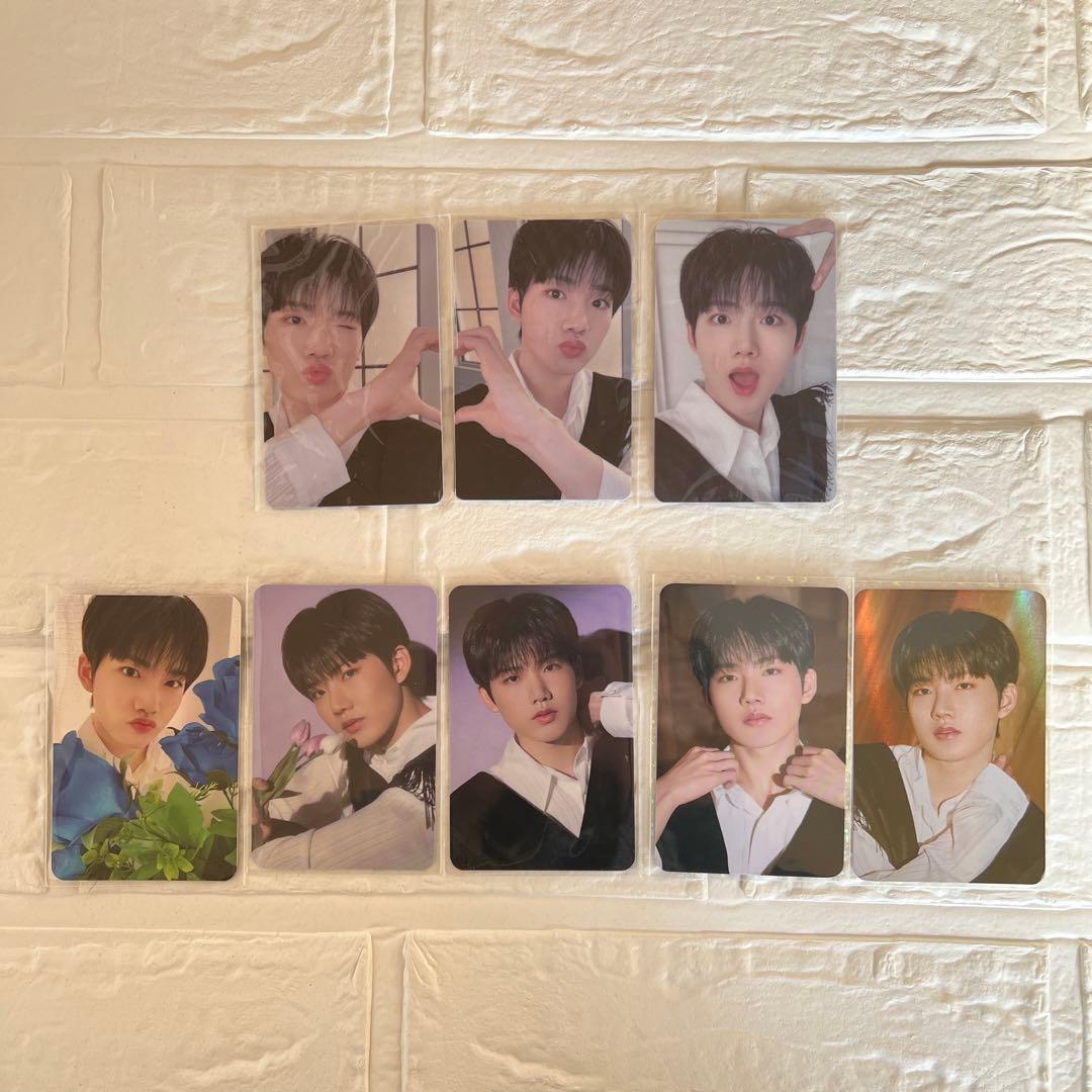 treasure ナイトガーデン ジュンギュ ラキドロ セット トレカ