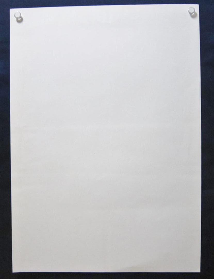 ピクミン2 ポスター 非売品 B2販促ポスター