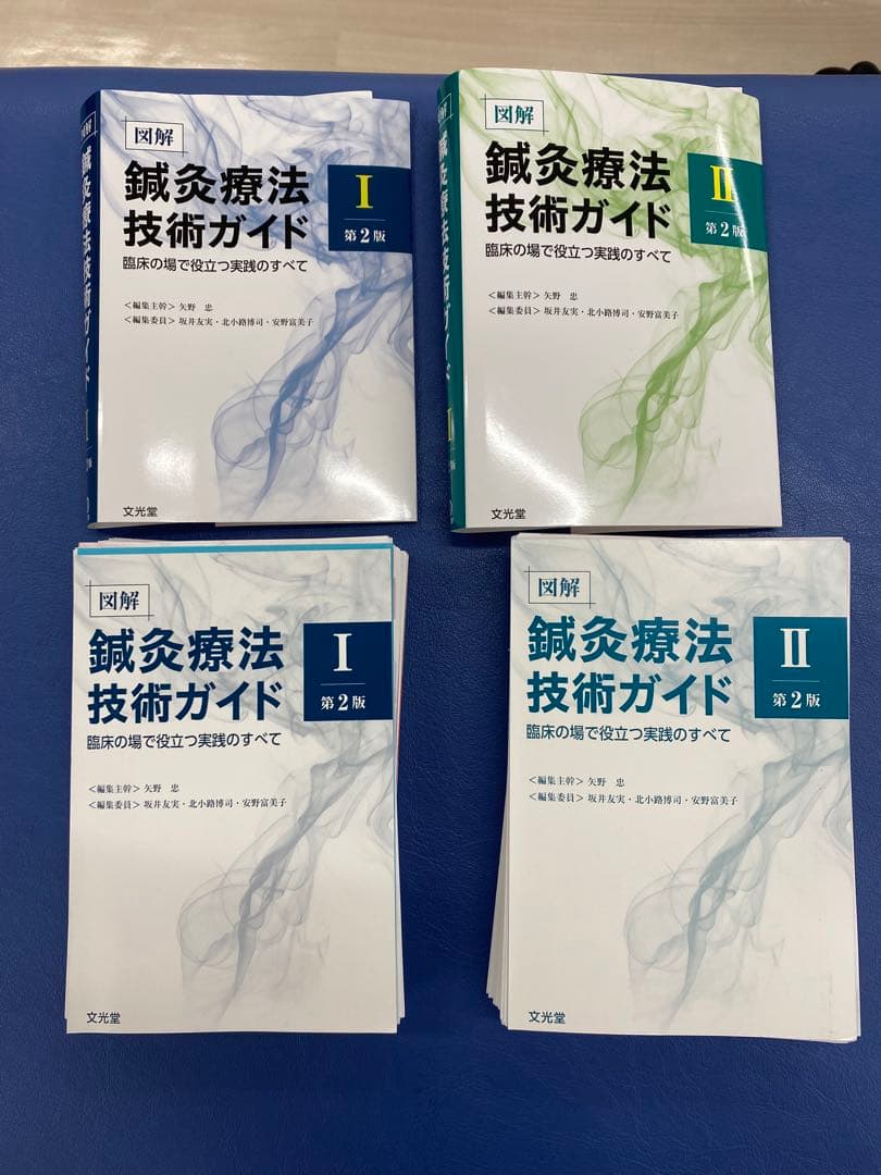 鍼灸療法技術ガイド1.2 第2版