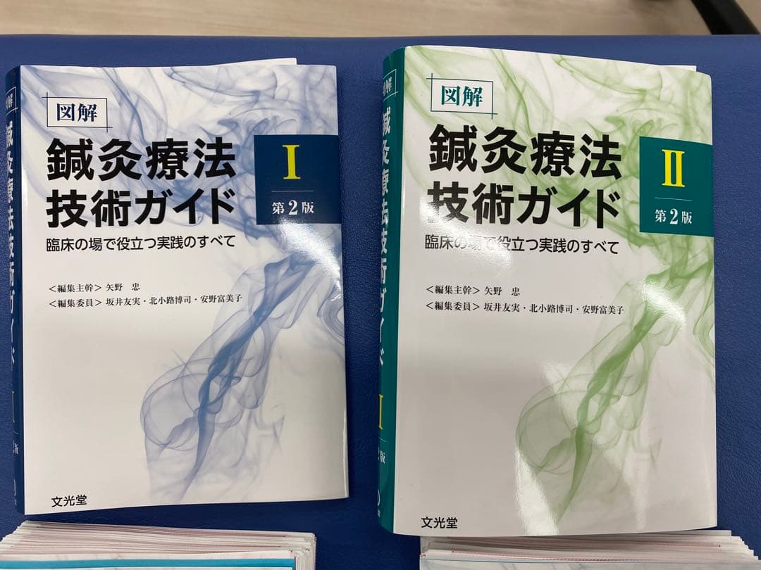 鍼灸療法技術ガイド1.2 第2版