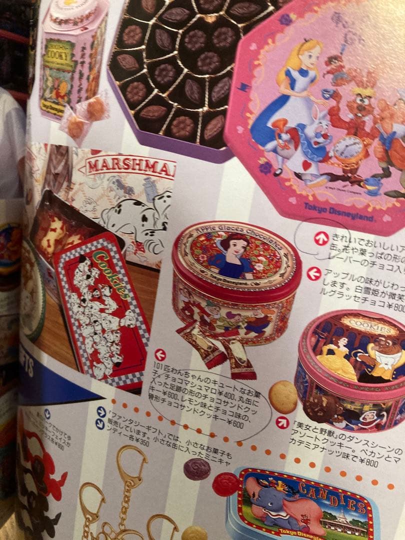 貴重　Disney ディズニーランド　おまけ付き　グッズコレクション　セット