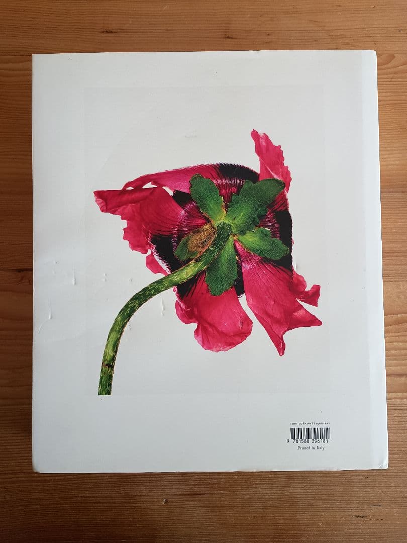 三宅一生 手紙付き アーヴィング・ペン CENTENNIAL