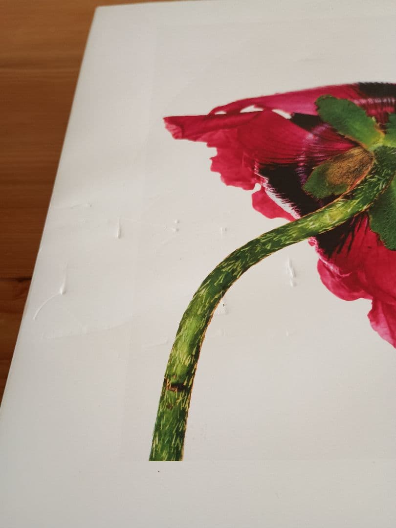 三宅一生 手紙付き アーヴィング・ペン CENTENNIAL