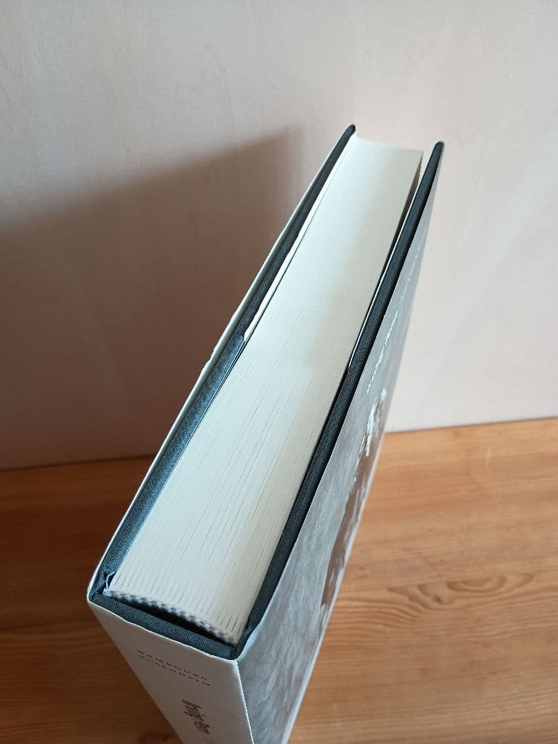 三宅一生 手紙付き アーヴィング・ペン CENTENNIAL