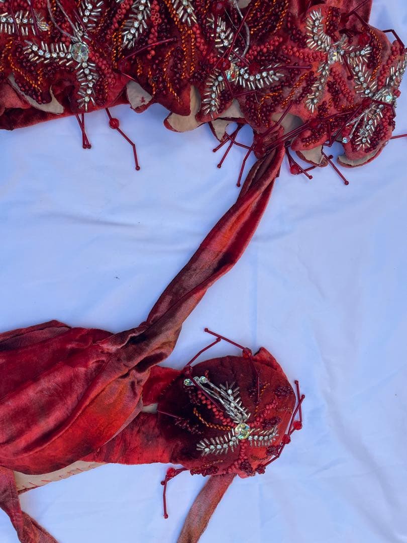 ブラジルベリーダンス セットアップ 赤紫