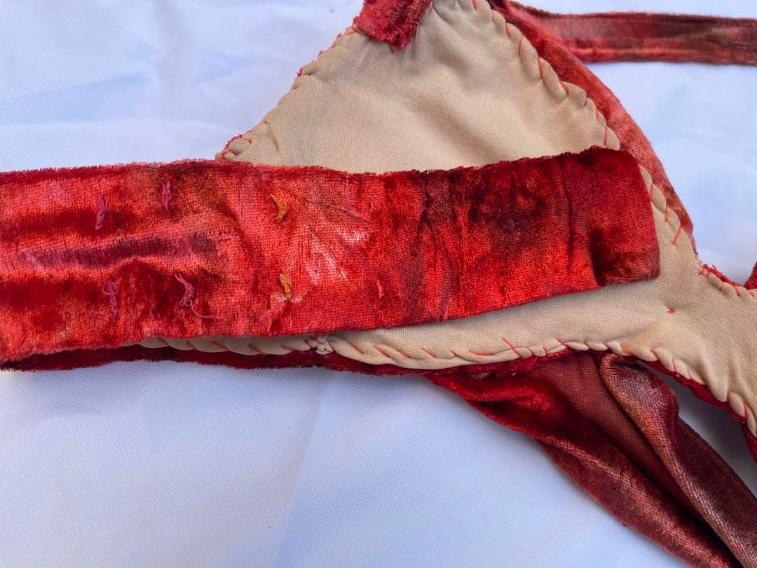 ブラジルベリーダンス セットアップ 赤紫