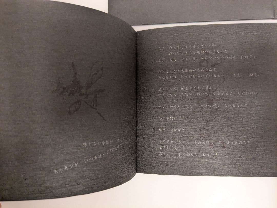 不失者 灰野敬二 極希少最高傑作「不失者 1991」2枚組CD