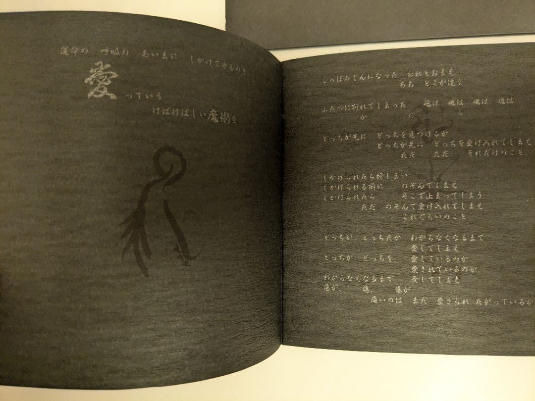 不失者 灰野敬二 極希少最高傑作「不失者 1991」2枚組CD