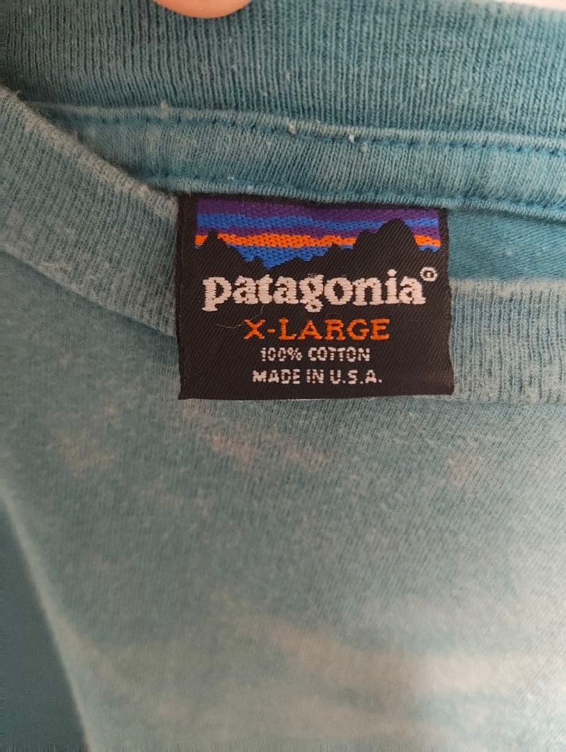 超希少！USA製！雪無しXL！Patagonia サーモンTシャツ
