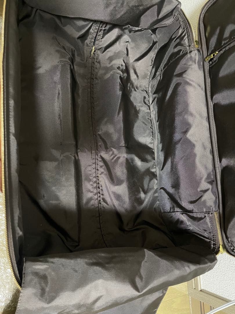 Louis Vuitton モノグラム キャリーケース ペガス55