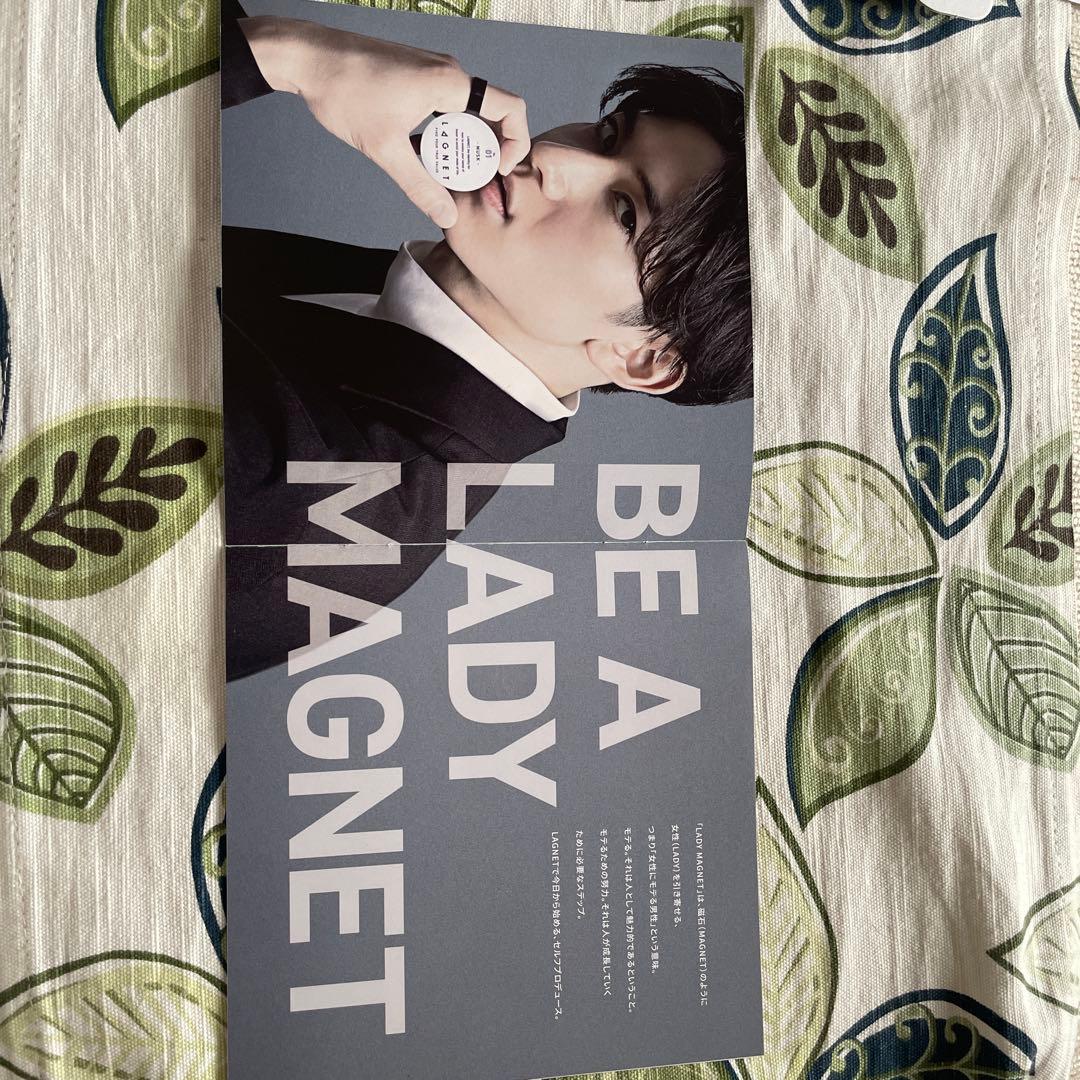 新品未開封 ラグネット LAGNET グルーミングツールセット