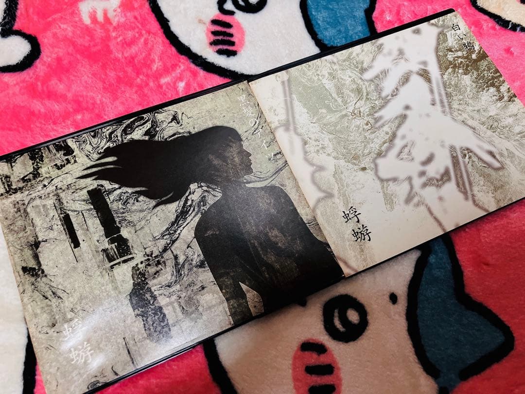 蜉蝣 CD DVD 特典 26枚セット