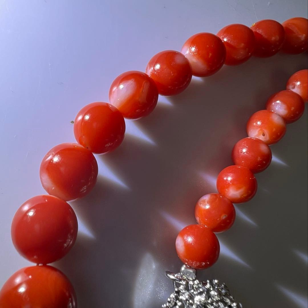 本血赤珊瑚　大玉ネックレス　31g 東Y8-0206☆1Fトサチ