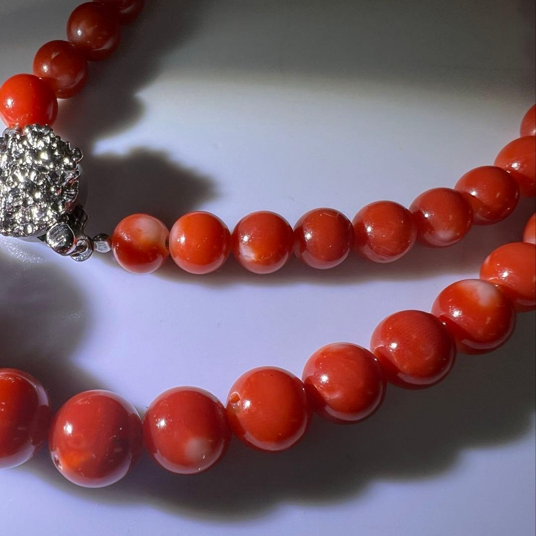 本血赤珊瑚　大玉ネックレス　31g 東Y8-0206☆1Fトサチ