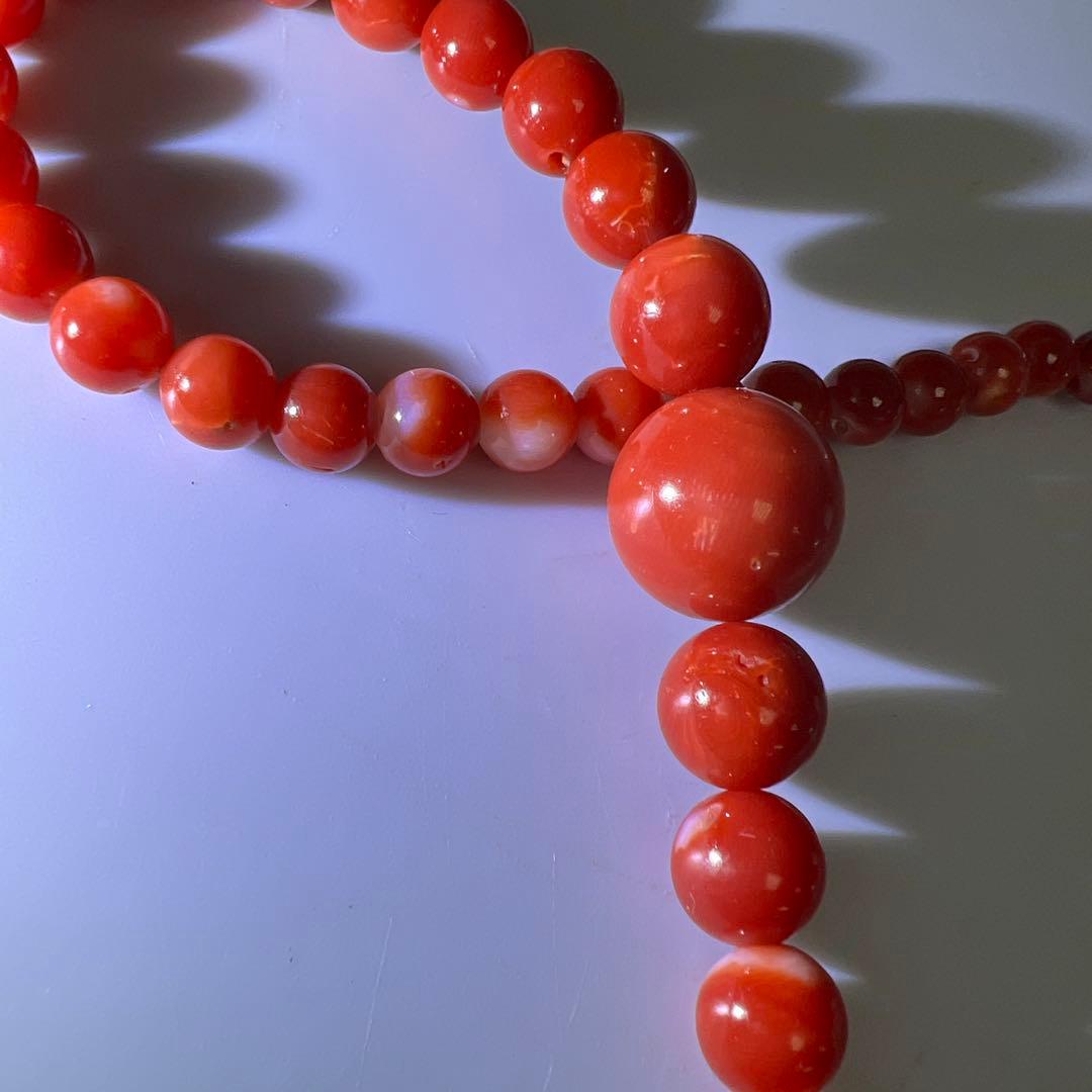 本血赤珊瑚　大玉ネックレス　31g 東Y8-0206☆1Fトサチ