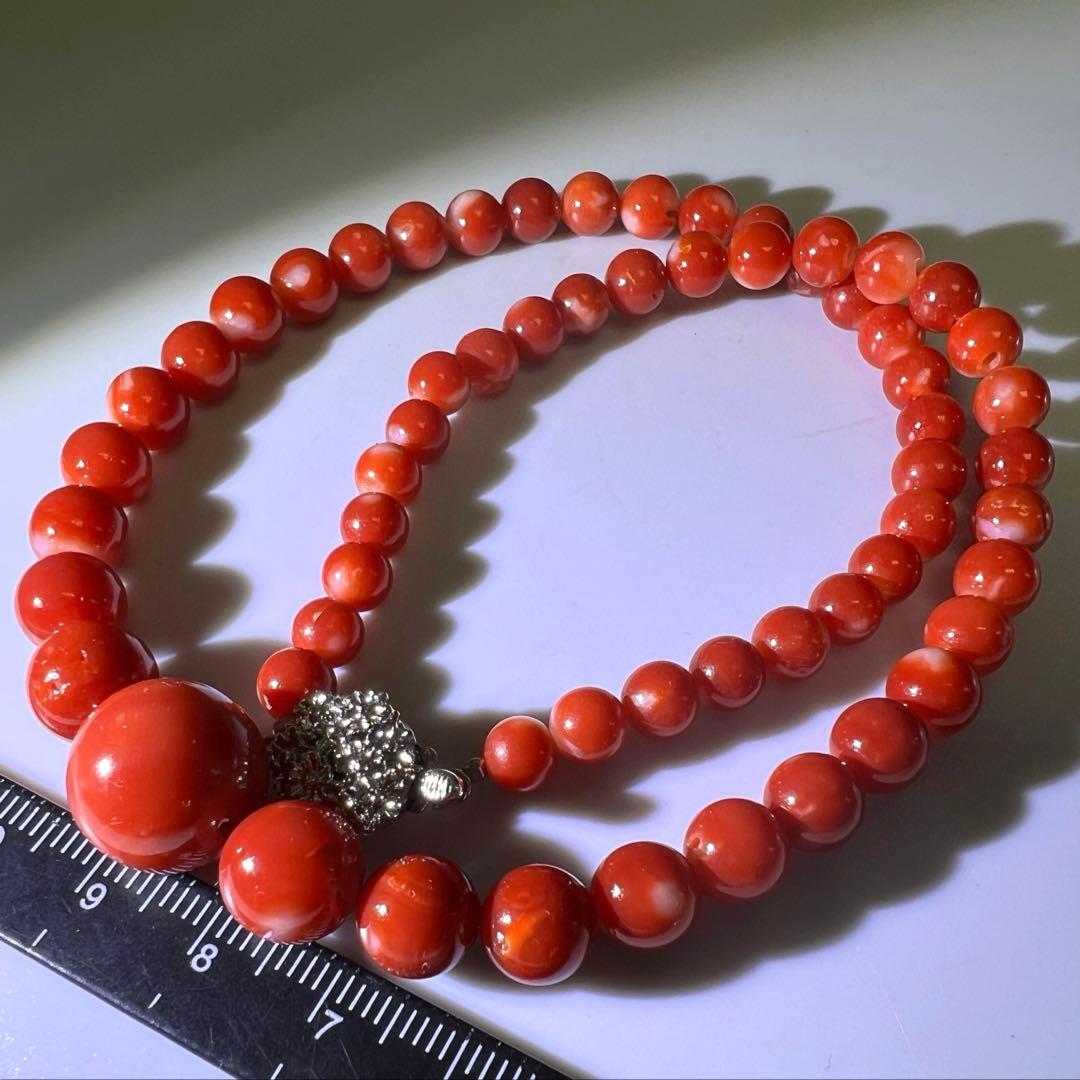 本血赤珊瑚　大玉ネックレス　31g 東Y8-0206☆1Fトサチ