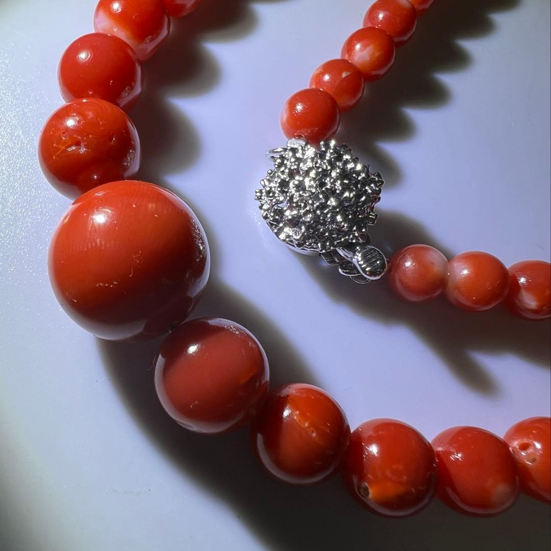 本血赤珊瑚　大玉ネックレス　31g 東Y8-0206☆1Fトサチ