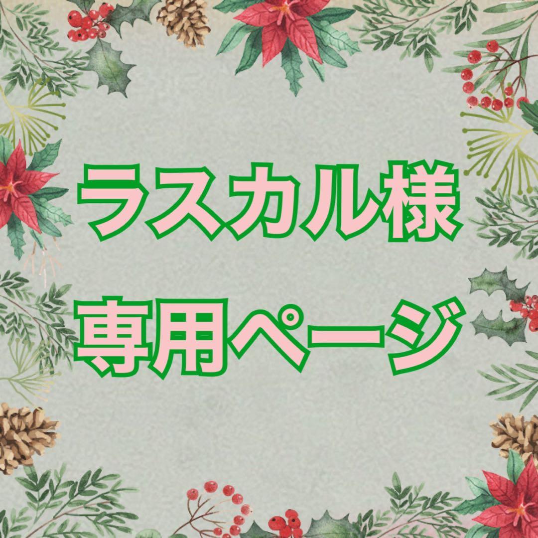 ラスカルページ　マスク×20
