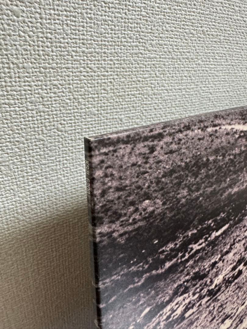 Suchmos THE ASHTRAY ・IN THE ZOOレコード2枚セット