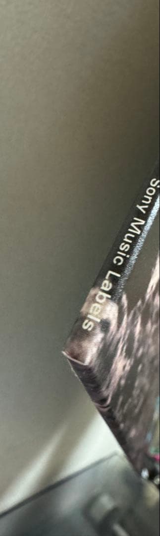 Suchmos THE ASHTRAY ・IN THE ZOOレコード2枚セット