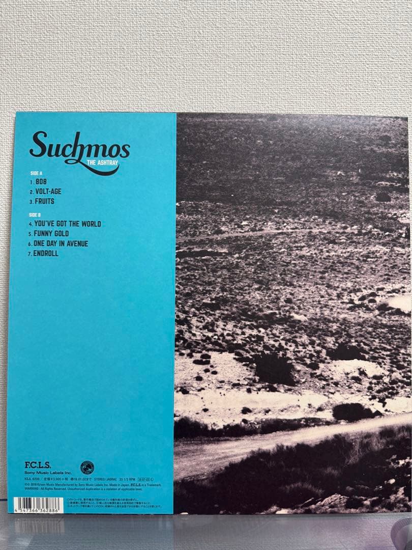 Suchmos THE ASHTRAY ・IN THE ZOOレコード2枚セット
