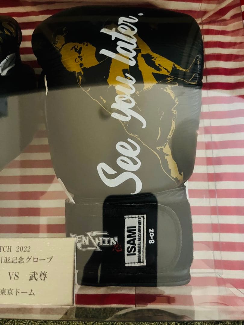 TEN THOUSAND 引退記念グローブ 那須川天心 VS 武尊