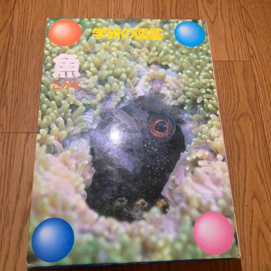 いろんな本のセット売りです。