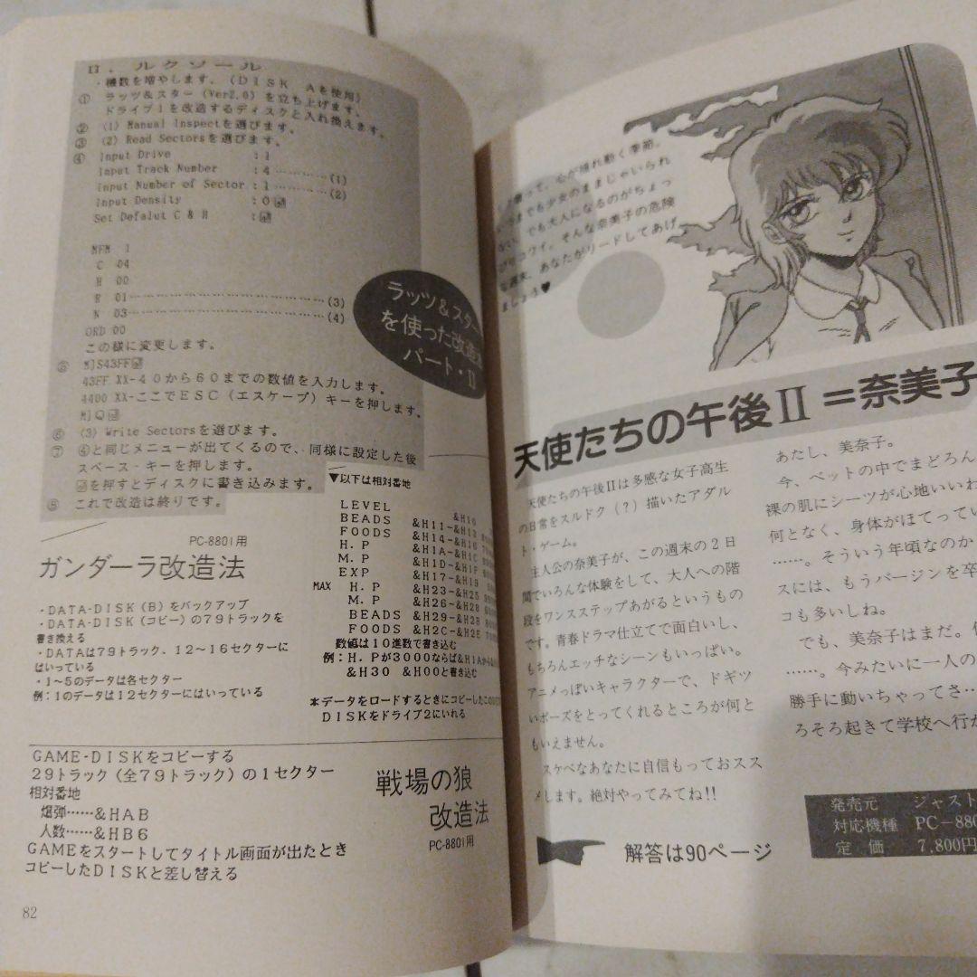 超希少本 RPG＆AVG完全攻略全解答本　レトロゲーム