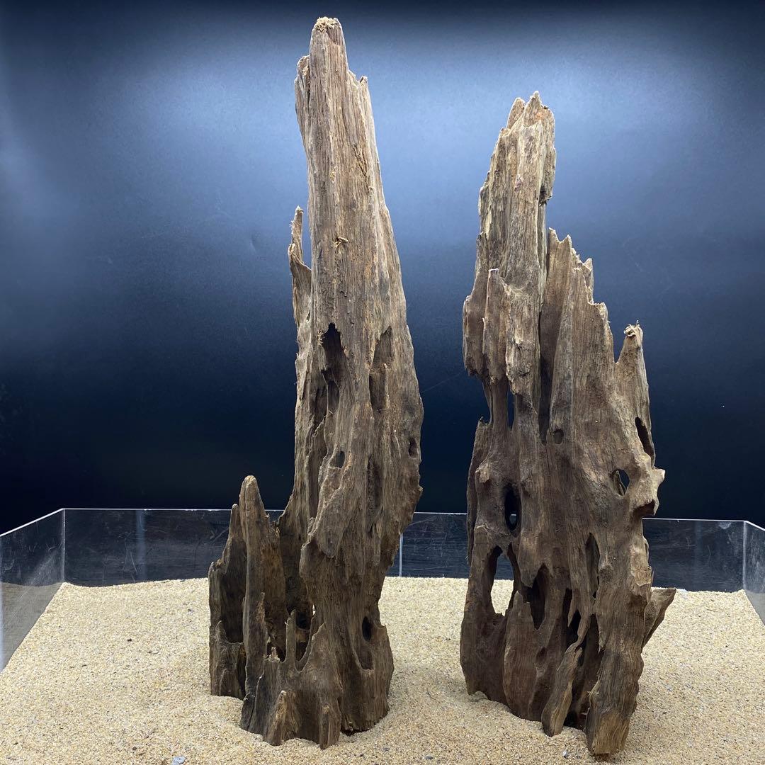 MMW-6402 自立マシンガンウッド2本セット　流木　アクアリウム