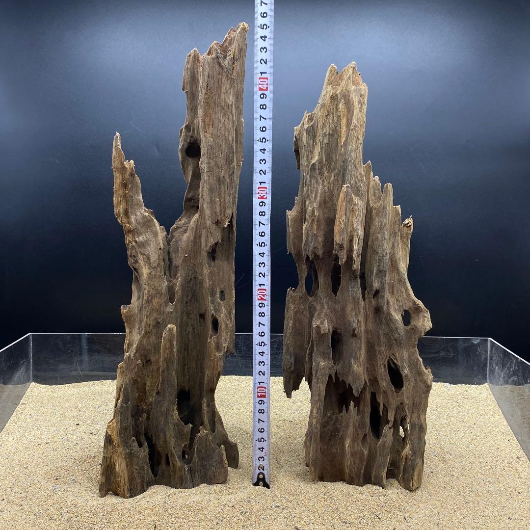 MMW-6402 自立マシンガンウッド2本セット　流木　アクアリウム