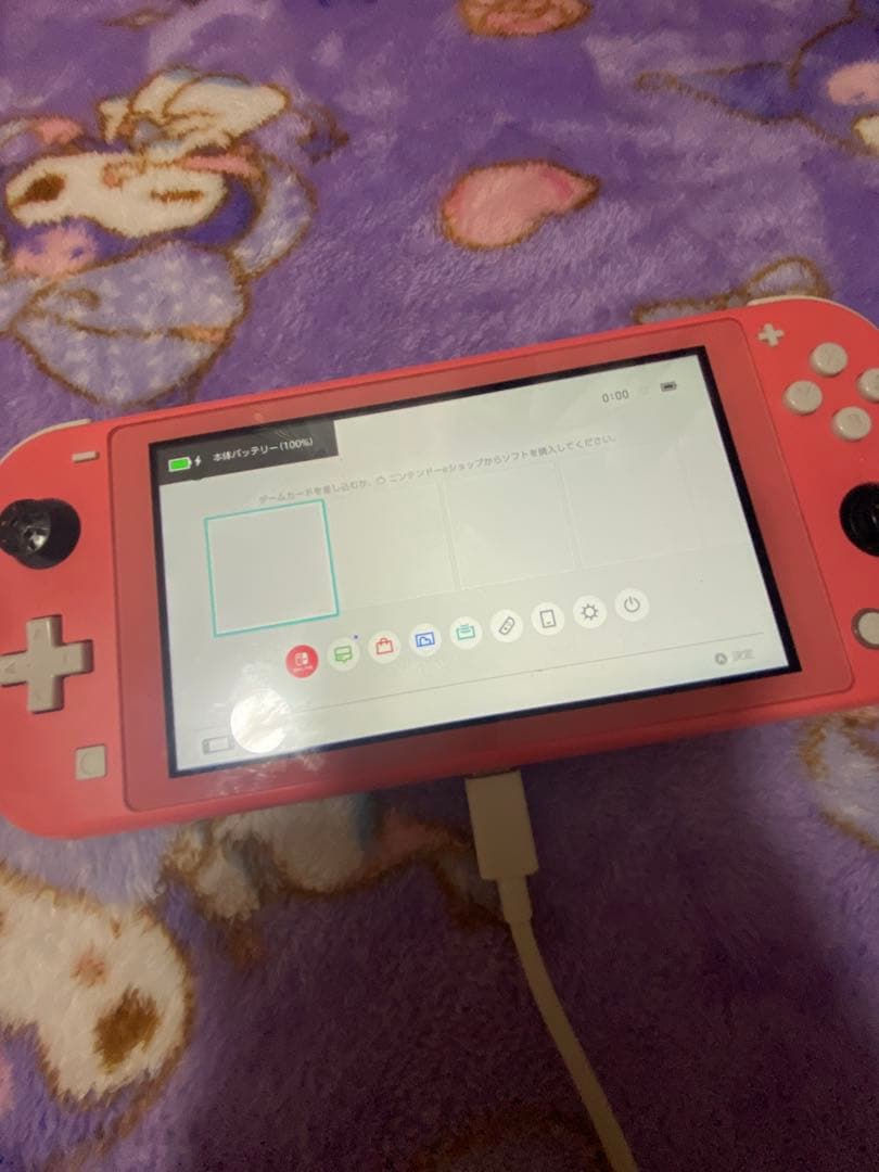 Nintendo SwitchLight ジャンク 本体のみ