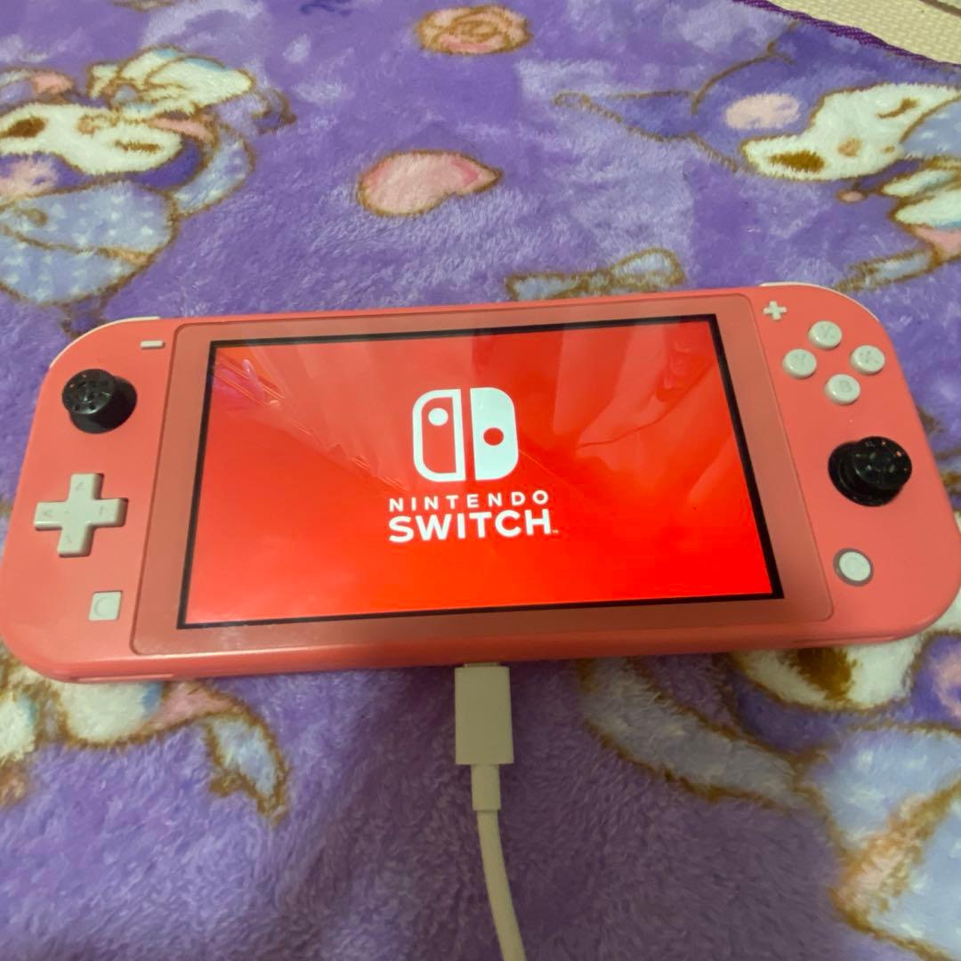 Nintendo SwitchLight ジャンク 本体のみ